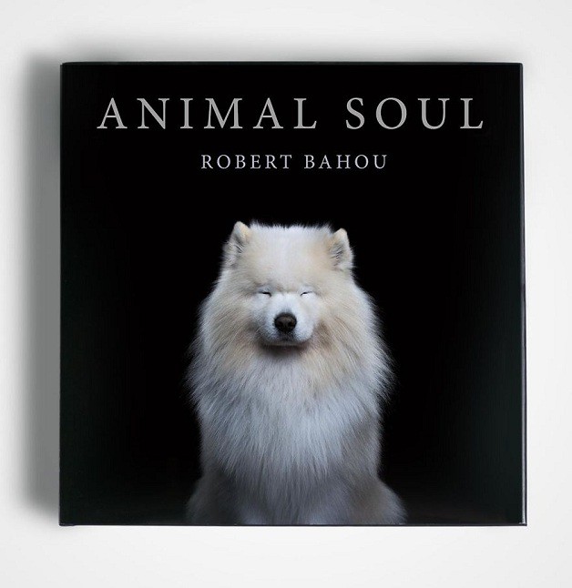 Animal Soul livro de fotos expressivas de animais domesticos capa