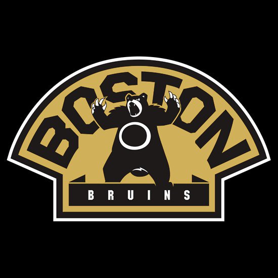 logos-pokemon-da-nhl-a-hockey-league-boston-bruins