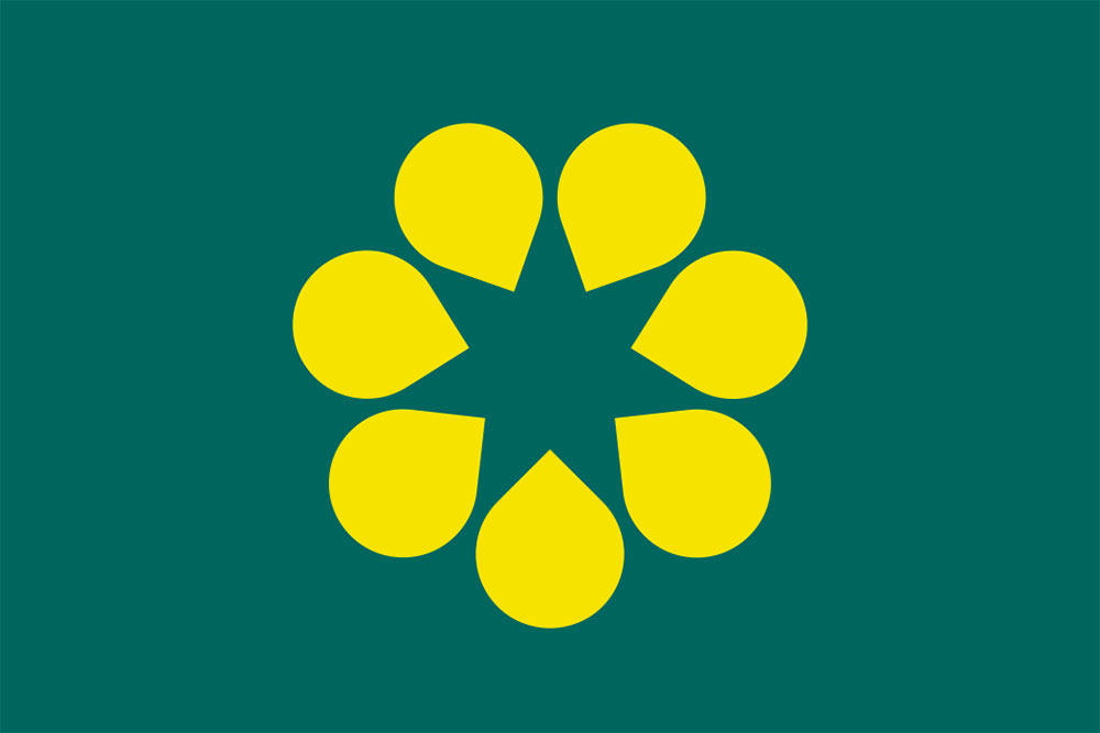 proposta-redesign-bandeira-australia-Golden Wattle-Flag-1